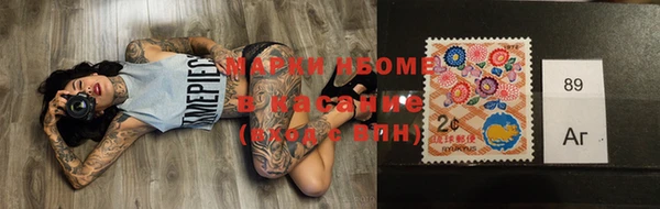 прущие грибы Надым
