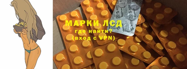 прущие грибы Надым