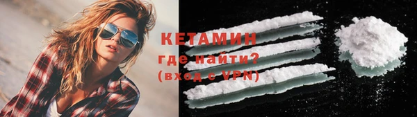 прущие грибы Надым
