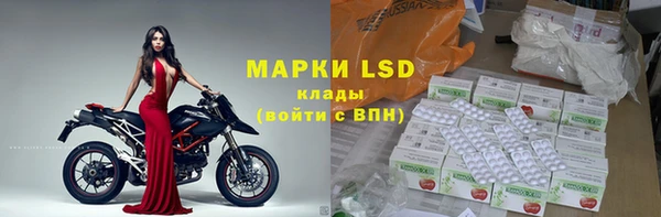 PSILOCYBIN Навашино