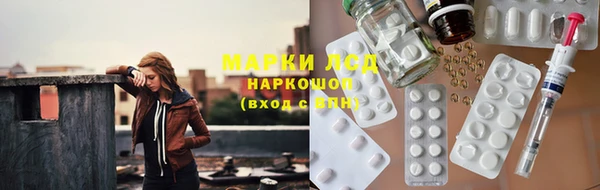 прущие грибы Надым