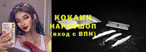 PSILOCYBIN Навашино