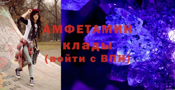 прущие грибы Надым