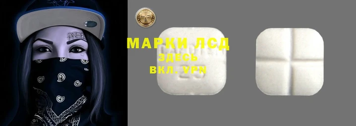 прущие грибы Надым