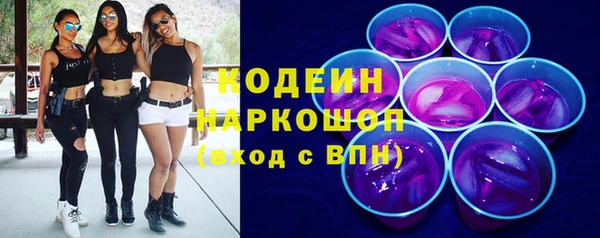 прущие грибы Надым