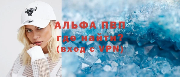 прущие грибы Надым