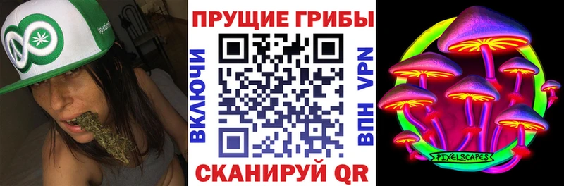Галлюциногенные грибы Psilocybe где купить наркотик Приволжский